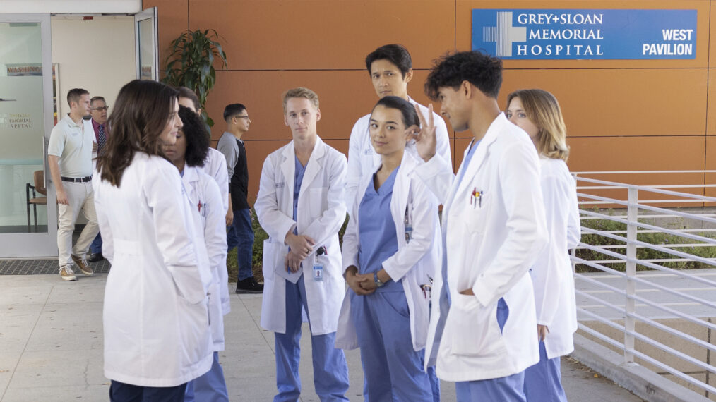 Cast of Grey's Anatomy