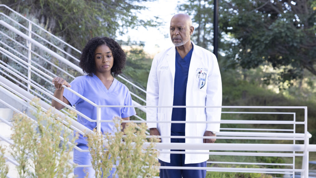 Alexis Floyd, James Pickens Jr. in Grey's Anatomy