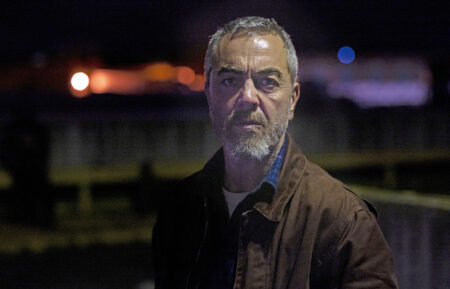 James Nesbitt in Suspect