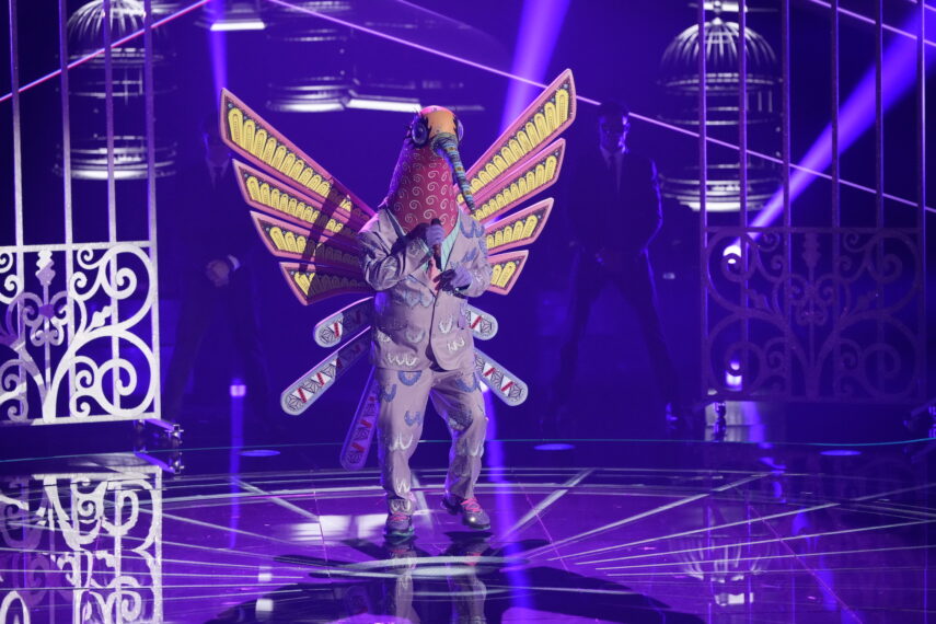 Hummingbird in The Masked Singer