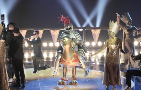 Knight in The Masked Singer