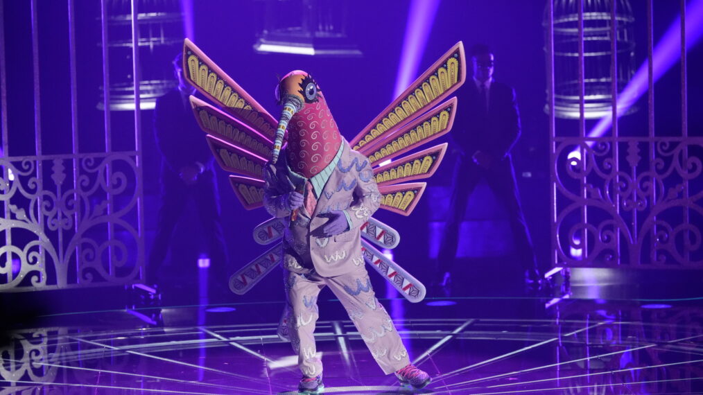 Hummingbird on The Masked Singer