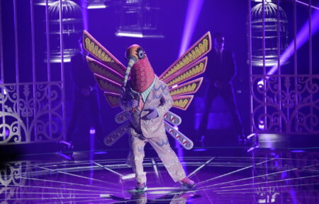 Hummingbird on The Masked Singer