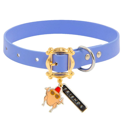 Friends Leather Dog Collar