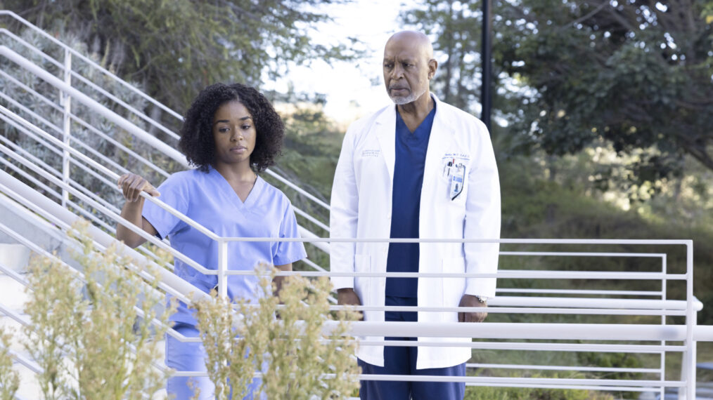 Grey's Anatomy Season 19 Episode 1 Griffith Richard