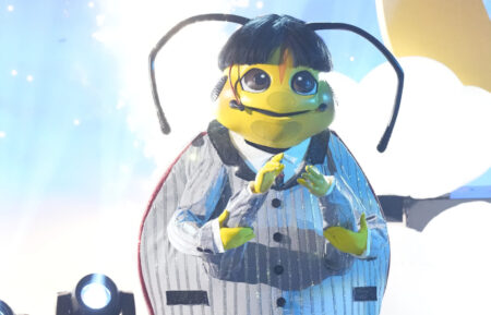 Beetle in 'The Masked Singer'