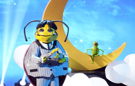 Beetle and Kermit in 'The Masked Singer'