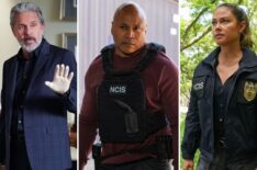 'NCIS,' 'LA' & 'Hawai'i' to Join Forces for 3-Show Crossover