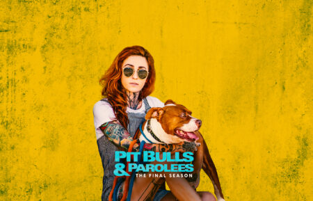 Pit Bulls and Parolees Season 19 key art