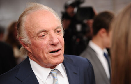 James Caan - 41st Annual Chaplin Award Gala - Red Carpet