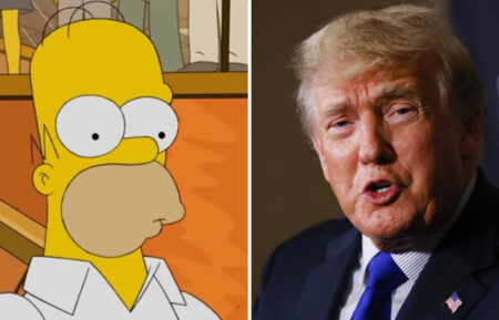 Homer Simpson and Donald Trump