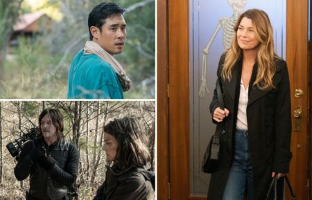 Quantum Leap, The Walking Dead, Grey's Anatomy