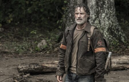 Andrew Lincoln in 'The Walking Dead' Series Finale