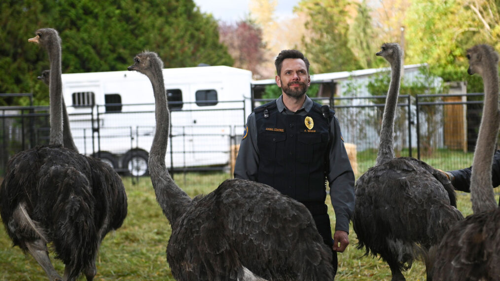 Joel McHale with ostriches in 'Animal Control'