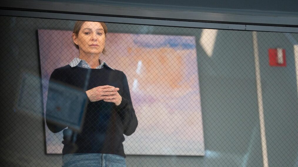 Grey's Anatomy Season 20 - Ellen Pompeo