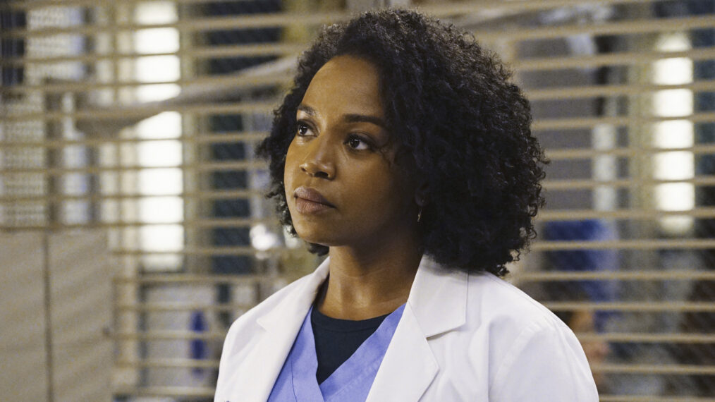 Grey's Anatomy - Season 13 - Jerrika Hinton as Stephanie Edwards