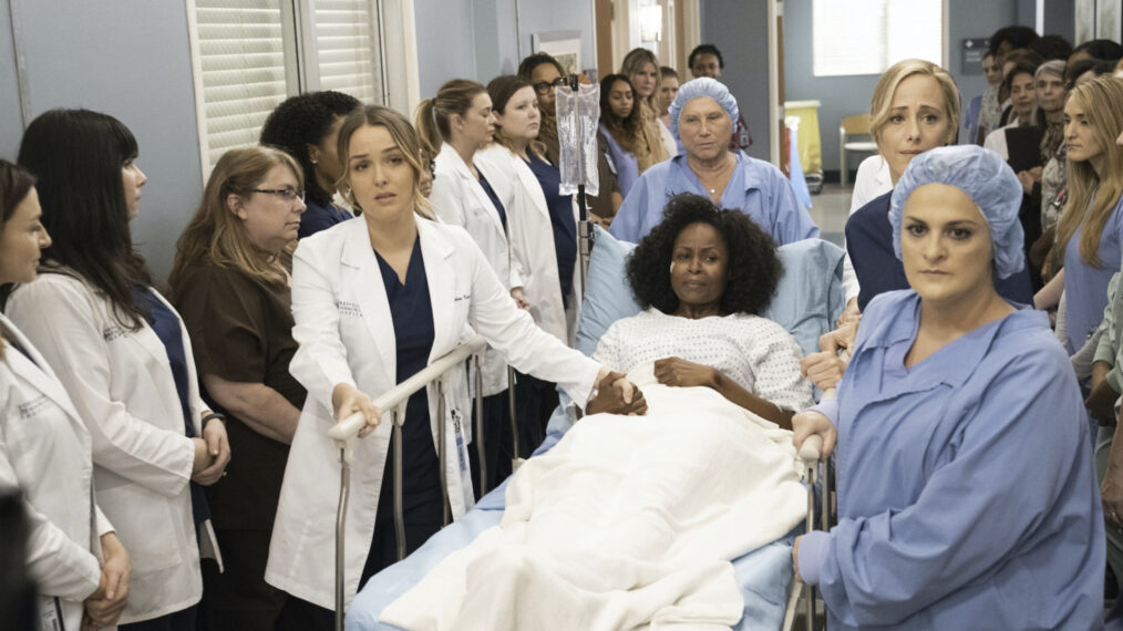 Grey's Anatomy Season 15