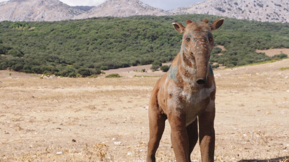 Mulefa - 'Sus materiales oscuros'