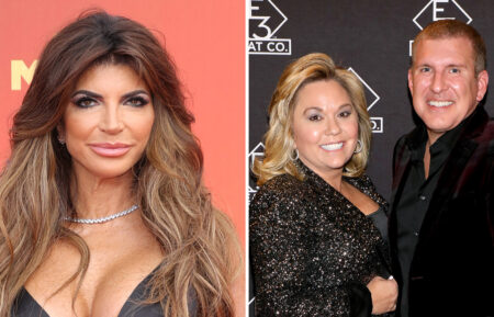 Teresa Giudice and Julie & Todd Chrisley