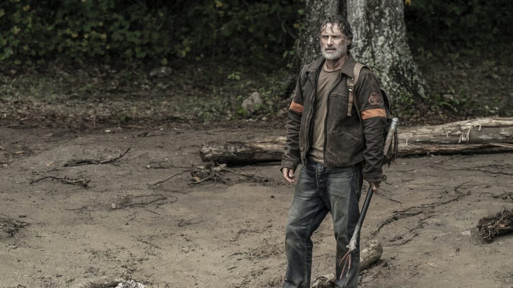 Andrew Lincoln in 'The Walking Dead' Series Finale