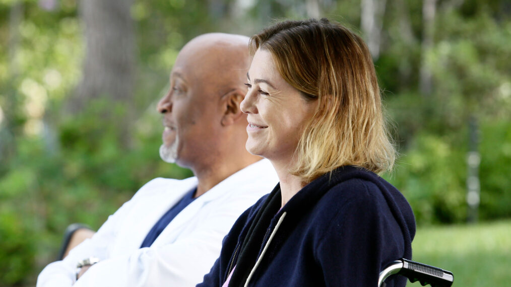 James Pickens Jr. and Ellen Pompeo in 'Grey's Anatomy'