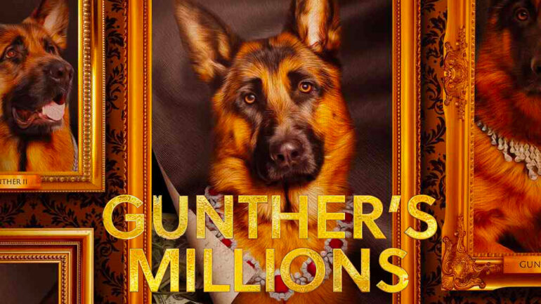 Gunther's Millions - Netflix