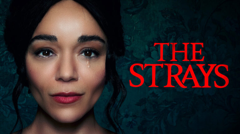 The Strays - Netflix