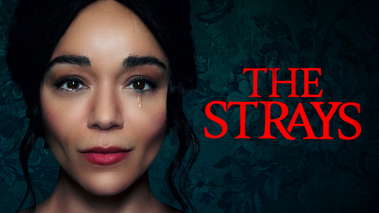 The Strays Netflix Movie Where To Watch