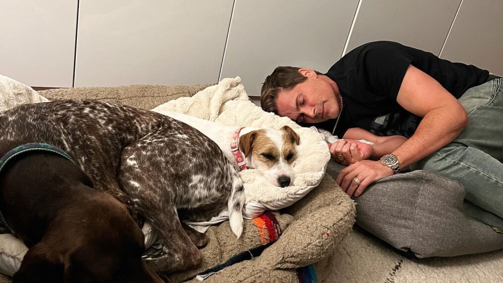 Rob Lowe and his dogs