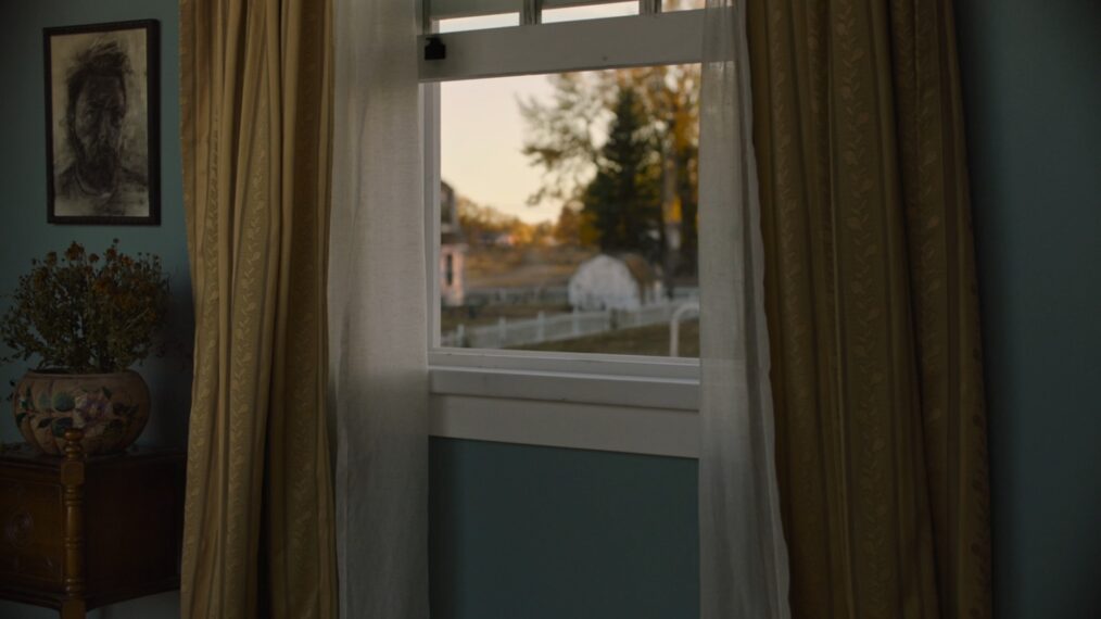 Bill and Frank's Window in 'The Last of Us'