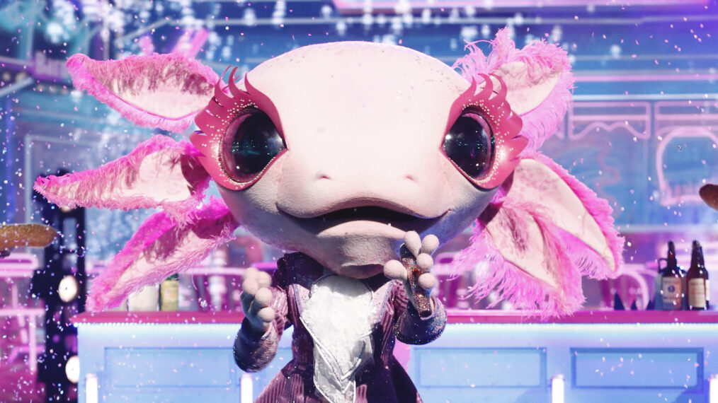 Axolotl on 'The Masked Singer'