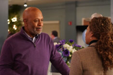 James Pickens Jr. and Kelly McCreary - 'Grey's Anatomy'