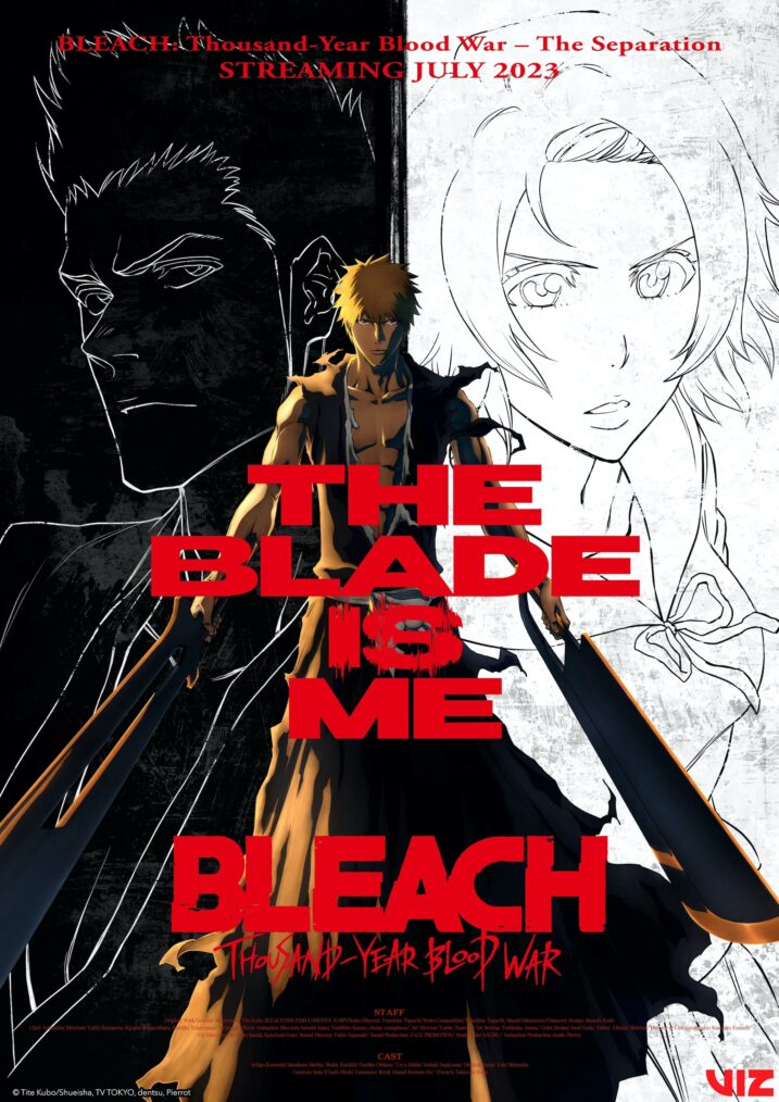 Bleach TYBW