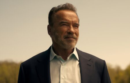 Arnold Schwarzenegger as Luke Brunner in Fubar
