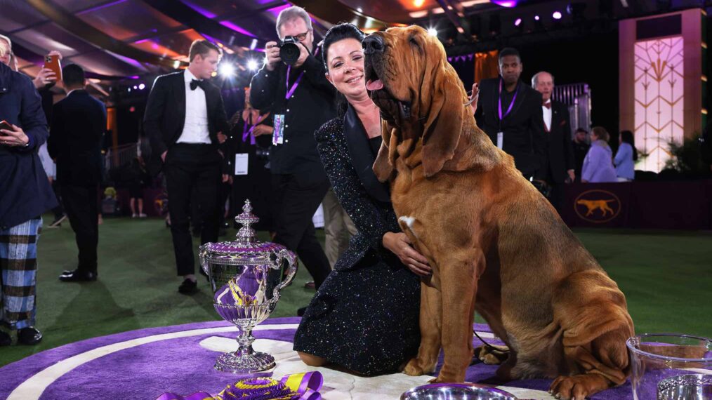 2024 Westminster Dog Show On Tv Guide Libby Othilia
