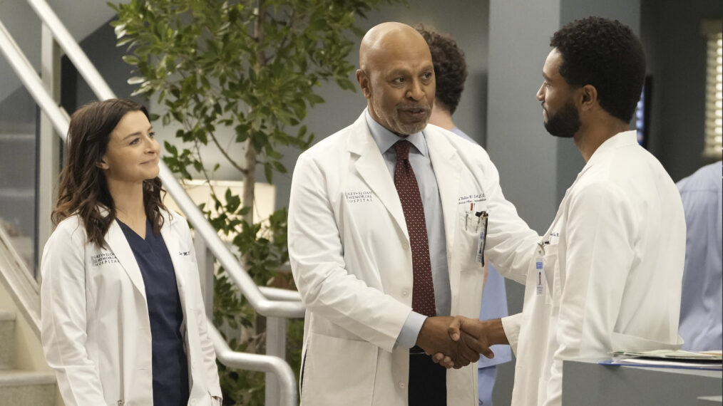 Caterina Scorsone as Amelia and James Pickens Jr. as Richard in 'Grey's Anatomy' Season 19, Episode 18