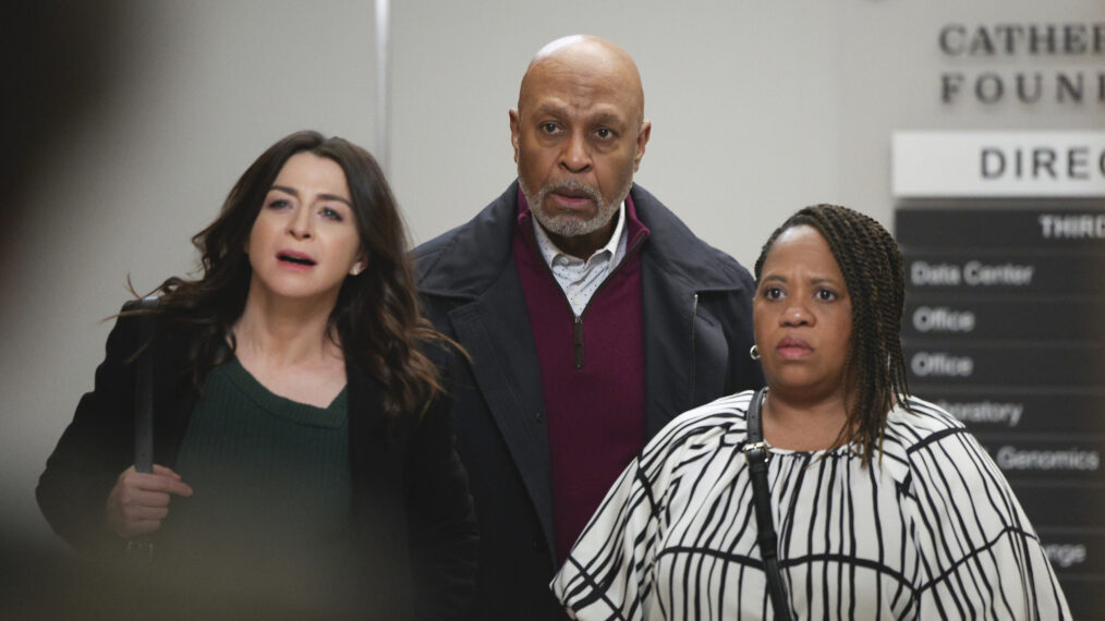 Caterina Scorsone, James Pickens Jr., and Chandra Wilson in 'Grey's Anatomy'