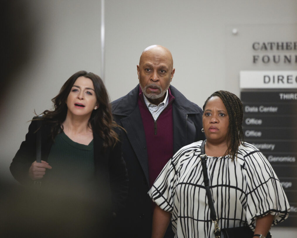 Caterina Scorsone, James Pickens Jr., and Chandra Wilson in 'Grey's Anatomy'