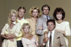 'Knots Landing' cast members - Joan Van Ark, Ted Shackelford, Donna Mills, Nicollette Sheridan, William Devane, Kevin Dobson, Michele Lee