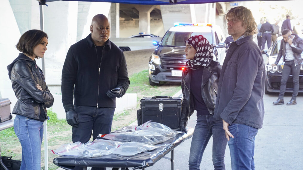 Will Another ‘NCIS: LA’ Star Appear on Other Shows in