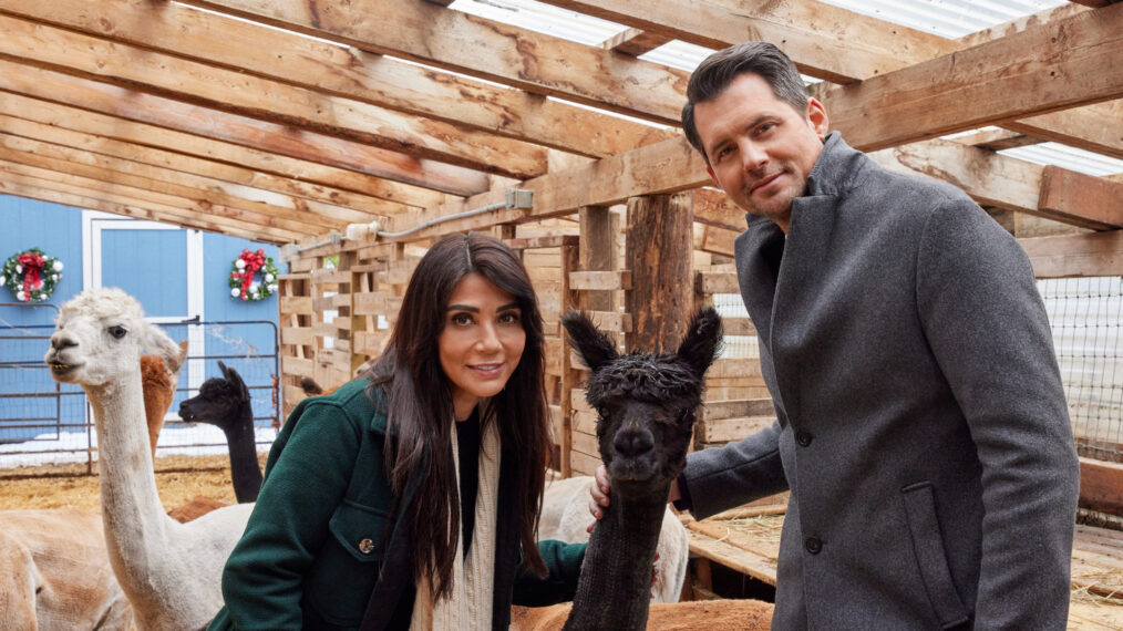 Marisol Nichols and Kristoffer Polaha with an alpaca in 'We Wish You a Married Christmas'
