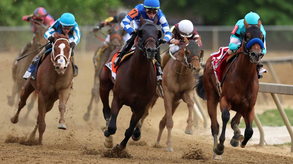 National Treasure, 2023 Preakness Stakes Winner