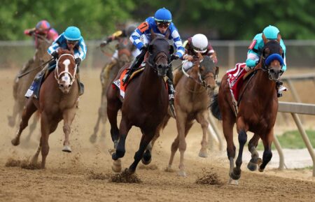 National Treasure, 2023 Preakness Stakes Winner