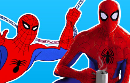 Spiderman Animated Series Ranked