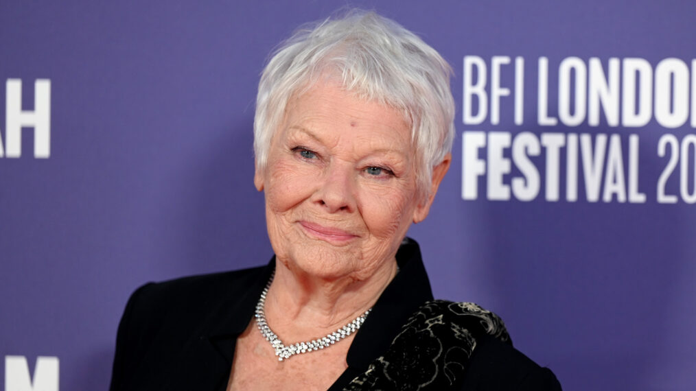 Judi Dench attends the 'Allelujah' European Premiere during the 66th BFI London Film Festival