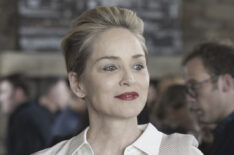 Sharon Stone in 'Mosaic'