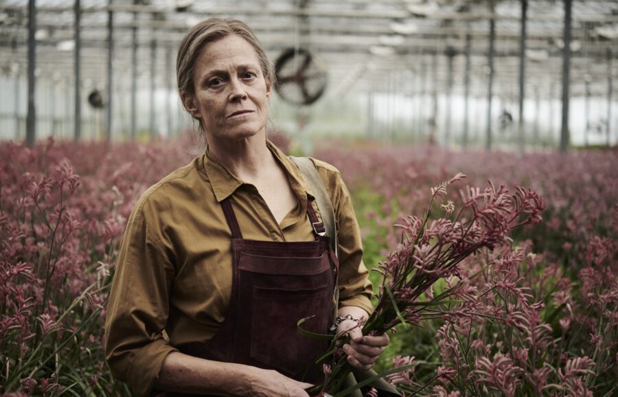 The Lost Flowers of Alice Hart Amazon Prime Video Series Where To Watch