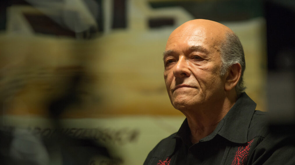 Mark Margolis in 'Better Call Saul'