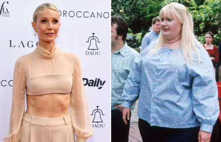 Gwyneth Paltro red carpet and Shallow Hal