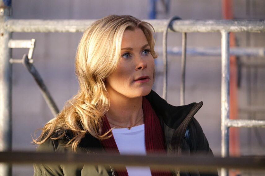 Alison Sweeney as Hannah Swensen